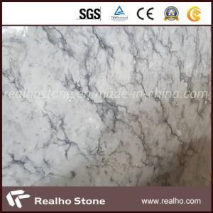 Chinese Own Quarry White Grey Marble Wall Cladding/Slab/Floor Tile
