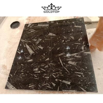 Building Material Natural Polished Black Marble Slab for for Walling/Flooring/Kitchen/Bathroom/Black Marble