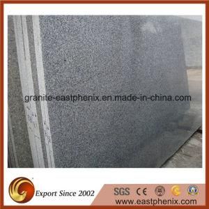 Natural Grey G614 Granite Slabs for Paving/Tombstone