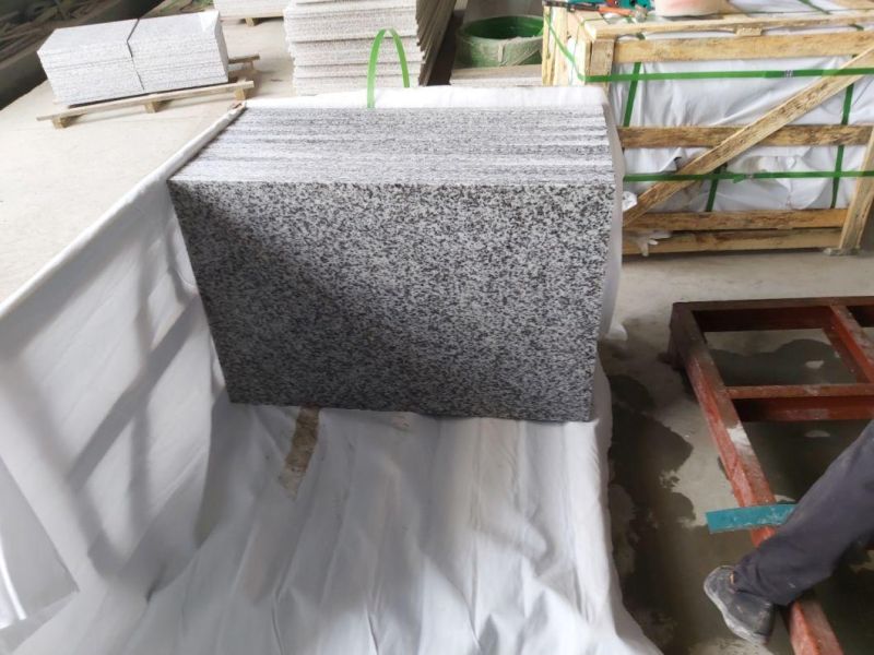 New G439 Bianco Granite