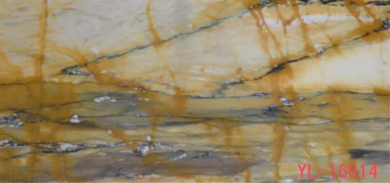 Tin Anna Golden Marble Slabs for Flooring Tile, Countertop