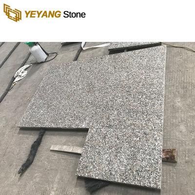 High Quality Polished Swan White Granite Countertop for Kitchen Bathroom