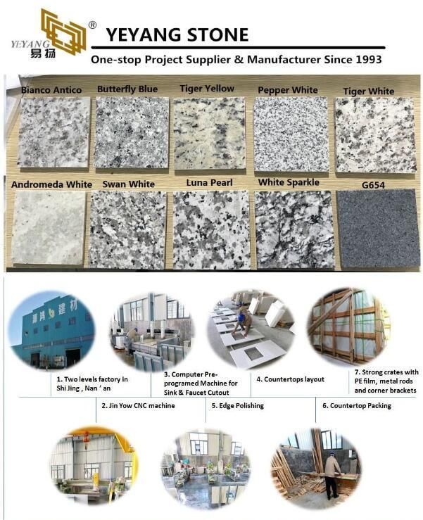 Natural Marble/Quartize/Paving/Sculpture Stone Black/White/Brown/Green/Red/Grey/Beige/Yellow Colorful Marble Stone Tiles for Home Decorate