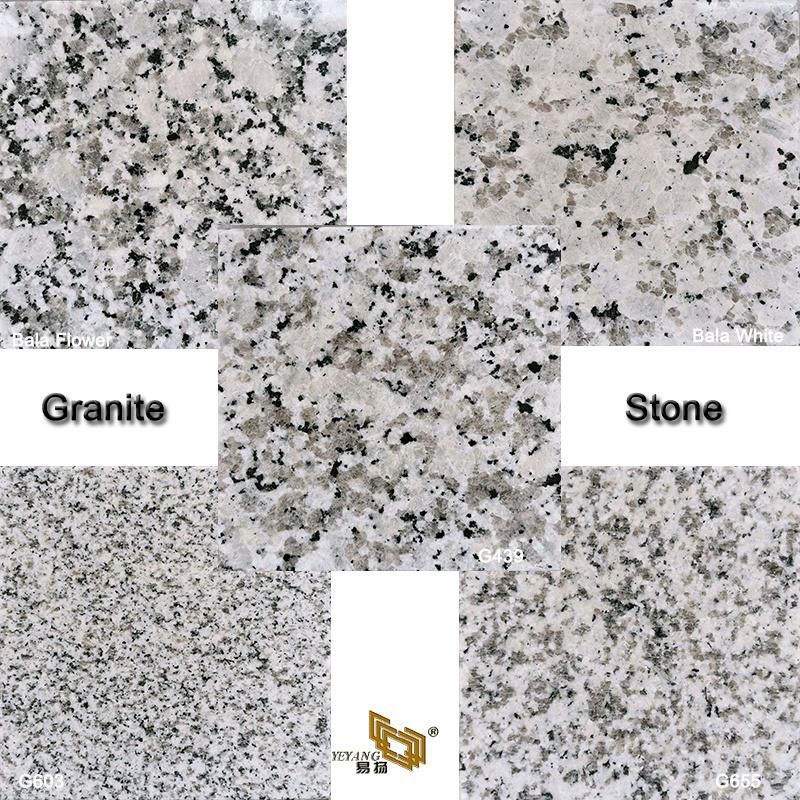 Granite Stone Slab/Tile Kitchen Vanity/Countertop for Hotel Building Engineering