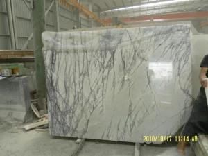Italy White Marble Slab for Hotel and Building Materials