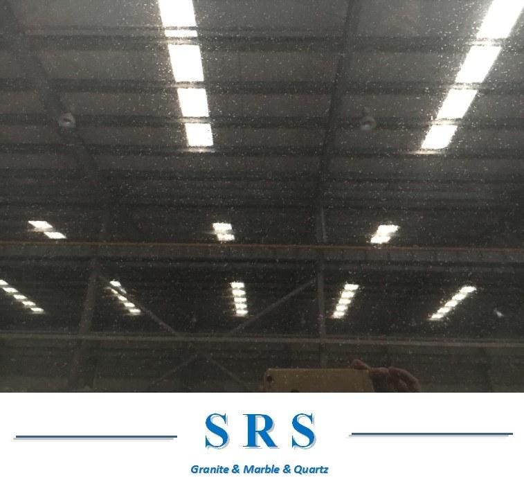 Natural Stone Black Granite Steel Grey/ Stargate/ Black Galaxy/Shanxi Black/Stargate Granite Slabs for Floor/Wall/Outdoor Slabs/Tile/Countertops/Stairs
