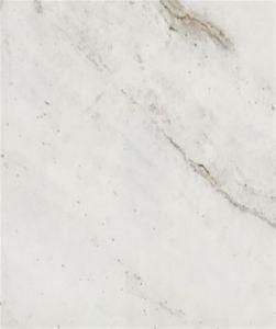 Glourious White