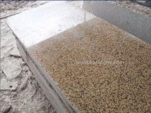 Tropical Brown Granite Counter Tops for Indoor