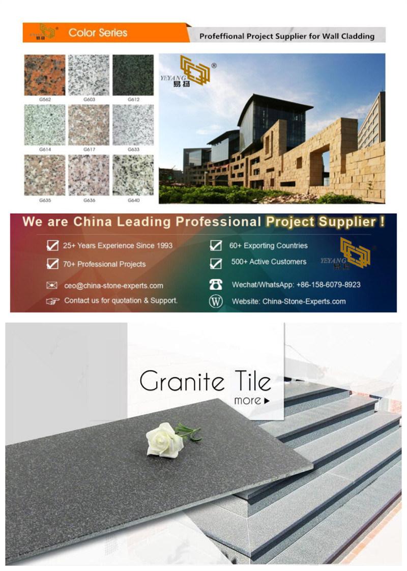 Polishing White/Black/Yellow/Brown Granite Countertops for Kitchen/Bahtroom Building Materials Project Wholesale