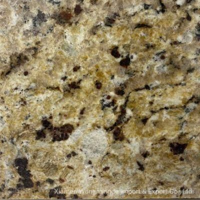 Deep Purple Golden Hemp and Color Is Gorgeous and Rich Texture Granite with Smooth Surface Use for Smooth Surface