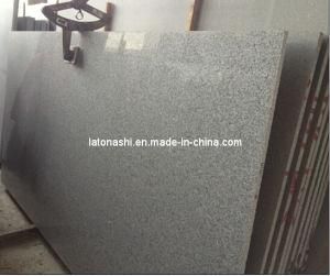 Polished Grey Granite G603 Slab for Flooring Tile &amp; Stairs