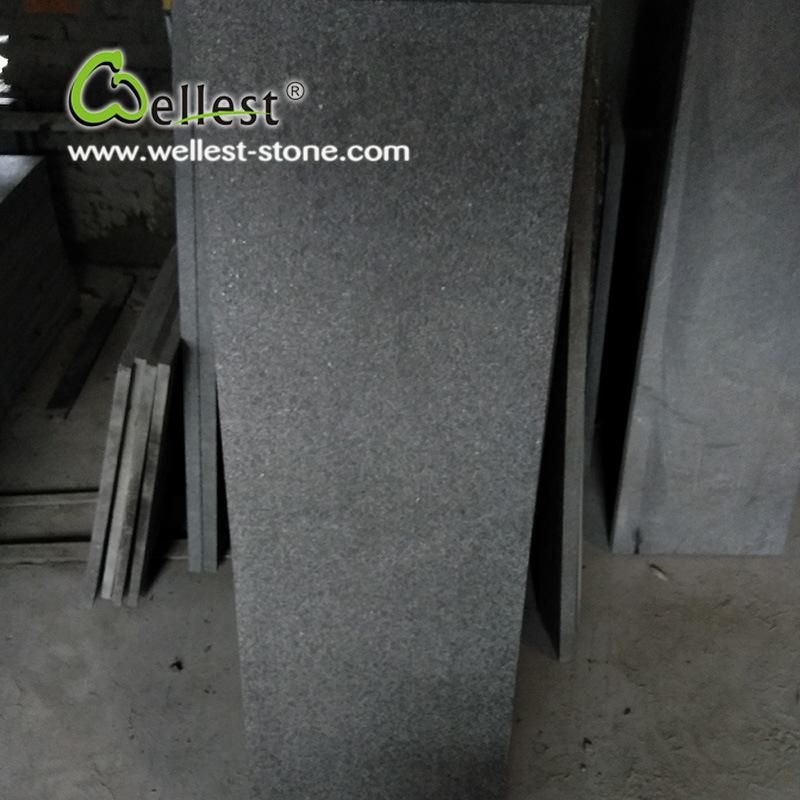 Black Granite Tile Tile for Wall and Flooring Flamed Finish Paving Stone Tile