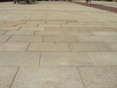 Natural Granite/Marble Paving Stone Tile for Flooring