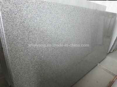 Mountain White G603 Granite Slabs for Countertops/Tiles/Paving Stone