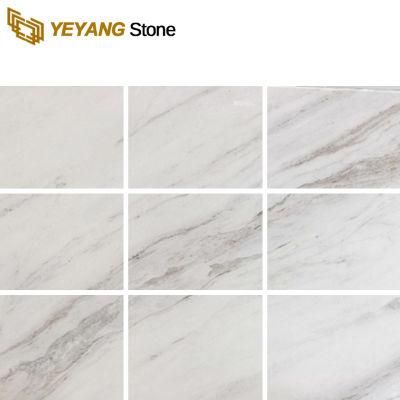 China Design Superiors Pure White Marble for Tile/Background/Wall/Floor
