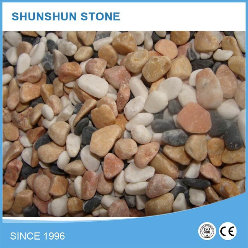 Sale Natural Stone Cobbles and Pebbles