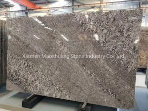 High Quality Bianco Antico Granite for Building Decoration/ Home/Hotel Project