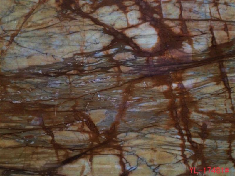 Tin Anna Golden Marble Slabs for Flooring Tile, Countertop