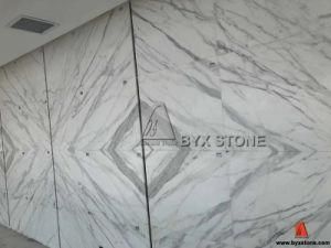 Italian Bianco Statuario White Marble for Slabs / Wall Tiles / Wall Cladding