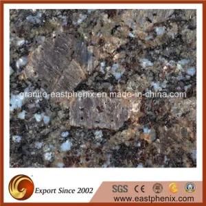 Imported Butterfly Blue Granite Stone Wall/Shower Tile