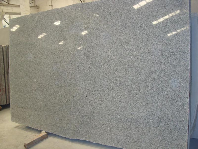 Chinese G603 Sardo Grey Light Grey Granite Big Polished Slabs