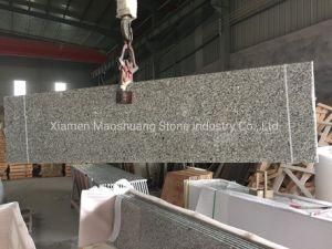 High Quality Cheap Natural Stone Swan Grey Granite Bathroom and Kitchen Countertop