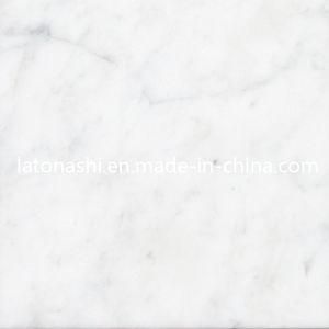Carrara White Marble Tile From Italy for Wall and Floor