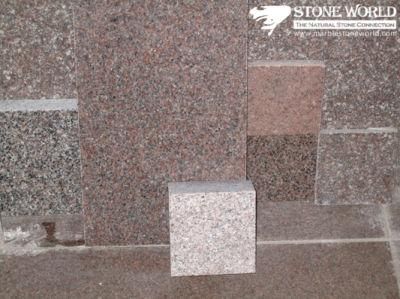 Polishe/ Flamed / Honed Red Granite Tile for Flooring