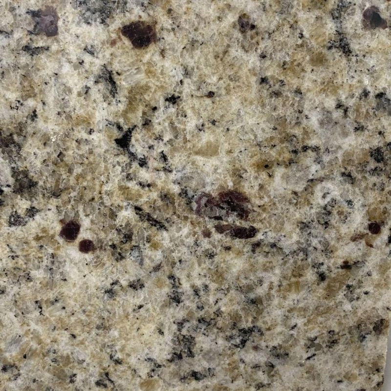 Dark Santa Cecilia Granite, Spray White Grantie Slab for Wall/Stair/Countertop