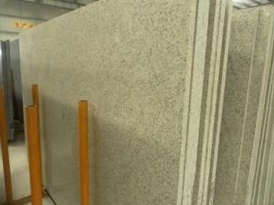 Imported Granite Polar White for Tiles/Countertops/Kitchentops/Hotel/Building Materials