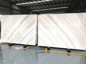 China Natural Stone Polished/Honed/Antique/Sandblasted Guangxi White Marble Slab for Interiors/ Indoor/ Floor/Wall Decoration/Background