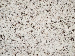 Quartz Slab for Kitchen Countertop and Floor Tiles