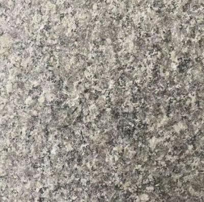 Grey Granite Tile Flooring Building Materials