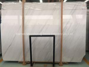 Natural Stone Slab White/Black/Beige/Grey/Travertine/Granite/Marble Tile for Project Slab Flooring