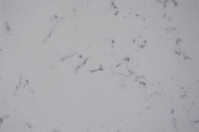 Solid Pristine White Wall Panels Carrara Quartz Stone
