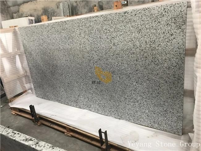 Polished China Granite Bala White Countertop for Countertop/Benchtop