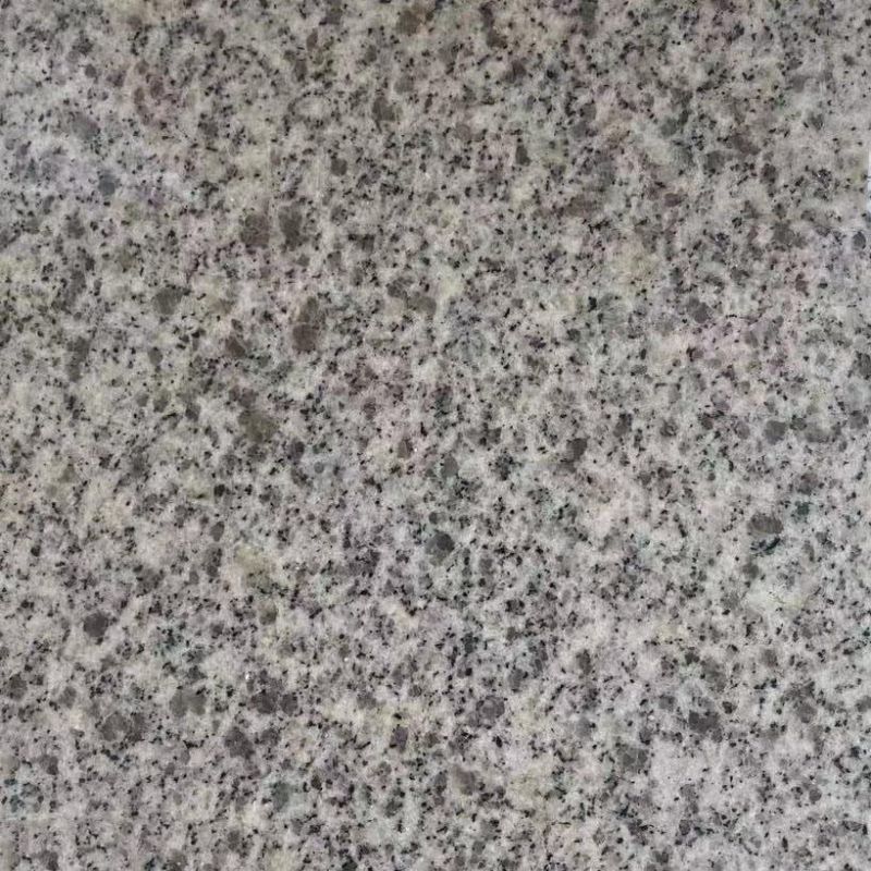 China Litchi/Sandblast/Anti-Slip Impala Grey Granite for Park Tiles