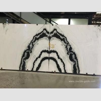 China Bookmatched Panda White Marble Tiles for Lobby/Wall/Flooring Design