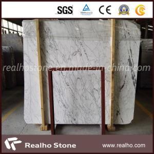 New Bianco Statuario Michelangelo Marble Big Slabs for Bathroom Walls