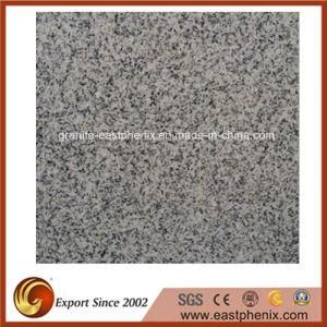 Popular New G603 Granite Stone Tiles for Wall/Flooring Tile