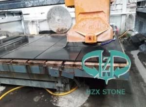 China Natural Black Granite for Table/ Countertop/Wall Floor/ Bathroom/ Kitchen