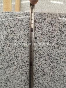 Hubei G603 Cheap White Granite for Slabs Tiles Countertops