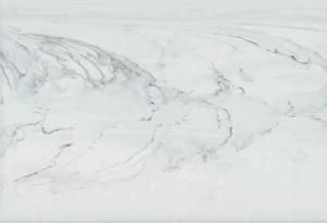 Polished Micro-Crystal Stone Slabs and Tiles