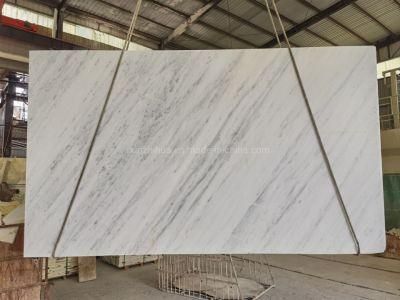 New Carrara Slabs/Tile for Indoor Decoration/Background Wall/Vanity Top/Steps/Rises/Building Material Marble