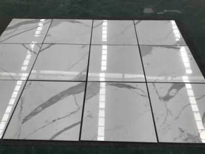 Polished Calacatta Oro/Statuario/Statuary White Marble Tiles Stone Slab Marble Flooring Tile/Marble Countertop