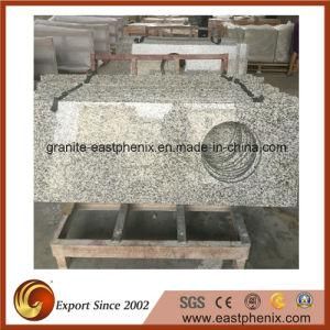Chinese Granite Kitchen Stone Countertops