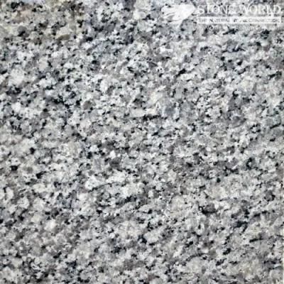 Polished Swan White Granite Tiles for Flooring &amp; Wall (MT008)