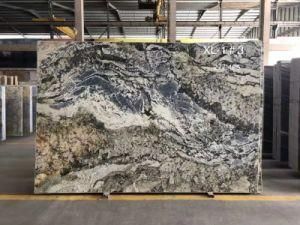 Kamarica Quartzite Polished Tiles&Slabs&Countertop