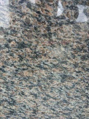 China Top Brown Granite/Camel Palm Granite/Camel Palm Granite for Floor/Background