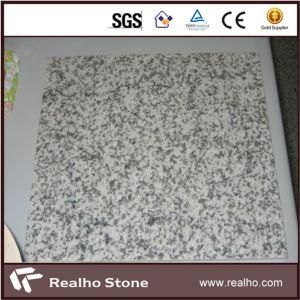 Polished 600X600 Crystal White G655 Granite Tiles